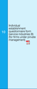 10. Individual establishment questionnaire form (service industries B) (for firms under private management)