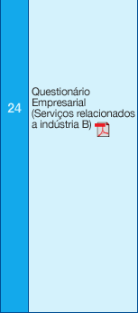 24 Questionário Empresarial (Serviços relacionados a indústria B)