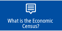 What is the Economic Census?