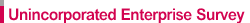 Unincorporated Enterprise Survey