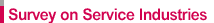 Survey on Service Industries