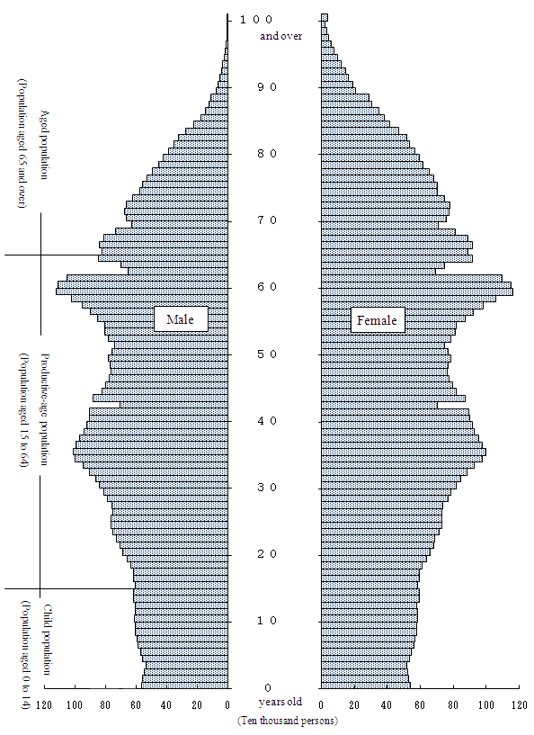 Population Pyramid