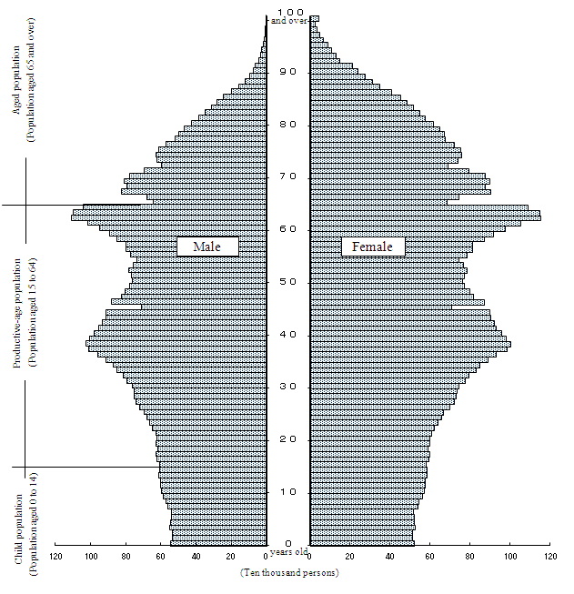 Population Pyramid