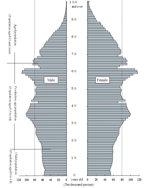 Figure1 Population pyramid (as of October 1, 2008)