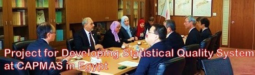 Project for Developing Statistical Quality System at CAPMAS in Egypt