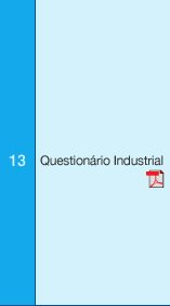 13 Questionário Industrial