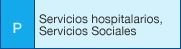 P: Servicios hospitalarios, Servicios Sociales
