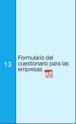 13 Formulario del cuestionario para las empresas