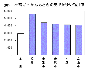 油揚げ・がんもどきの支出が多い福井市（詳細はそれぞれのエクセルデータを参照してください）
