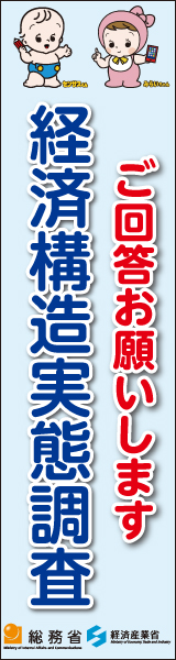 経済構造実態調査 広告バナー2