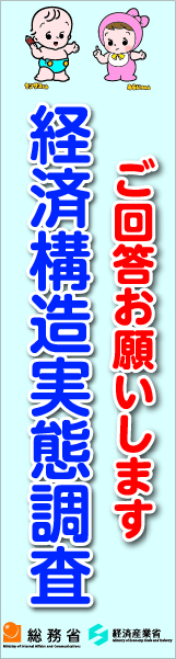 経済構造実態調査 広告バナー2
