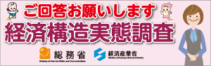 経済構造実態調査 広告バナー3