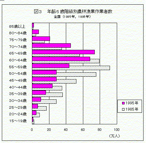 図3　年齢5歳階級別農林漁業作業者数　全国（1985年，1995年）