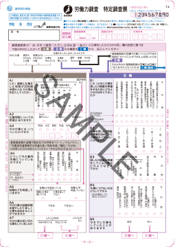 イメージ：特定調査票