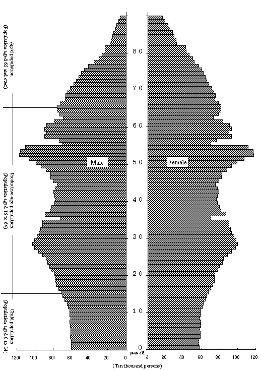 Population Pyramid