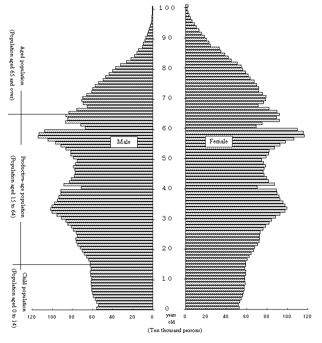 Population Pyramid