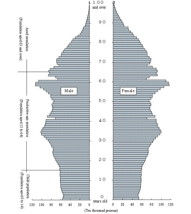 Population Pyramid