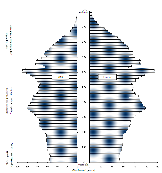 Population Pyramid