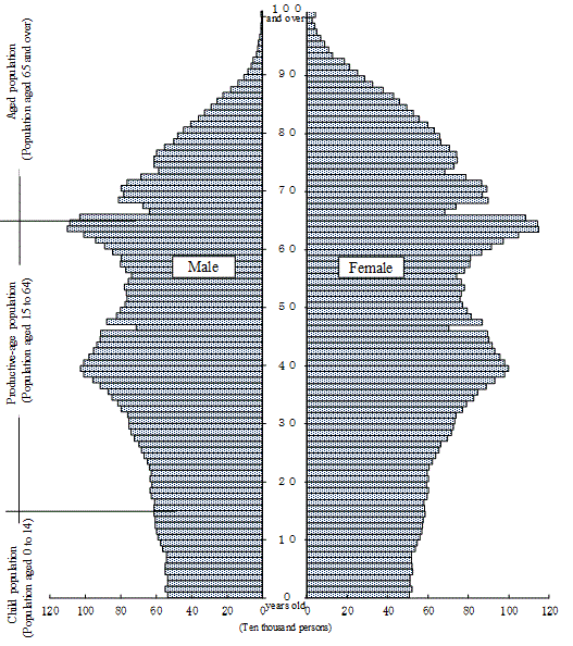 Population Pyramid