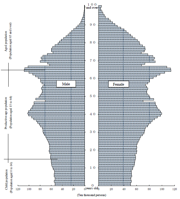 Population Pyramid