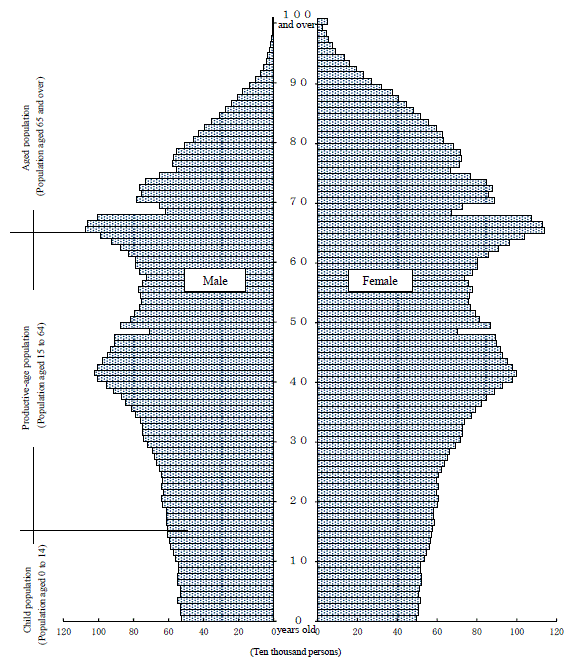 Population Pyramid