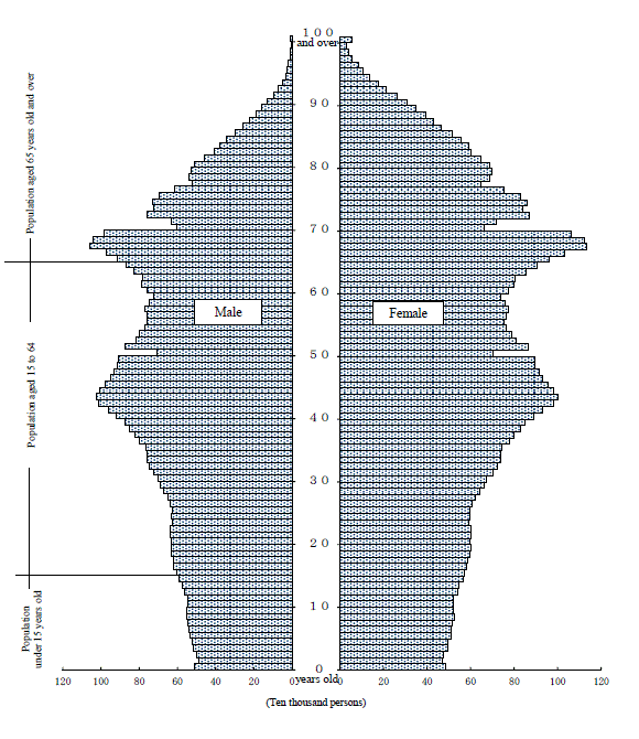 Population Pyramid