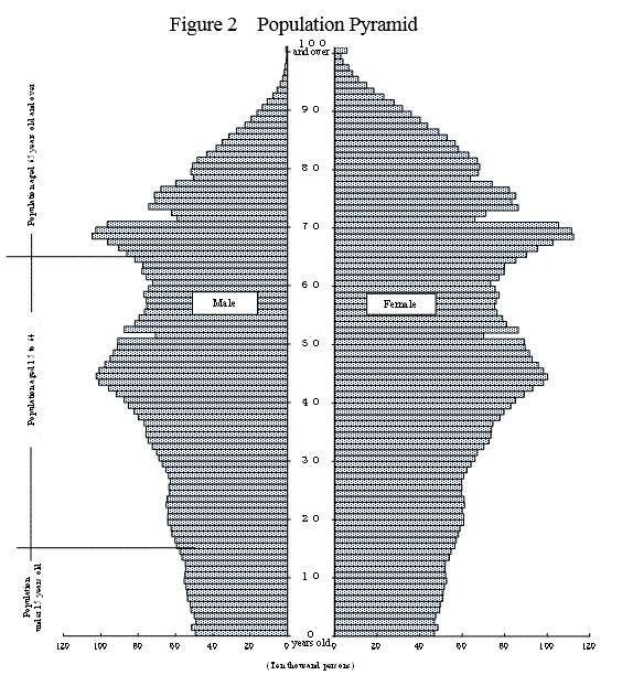 Population Pyramid