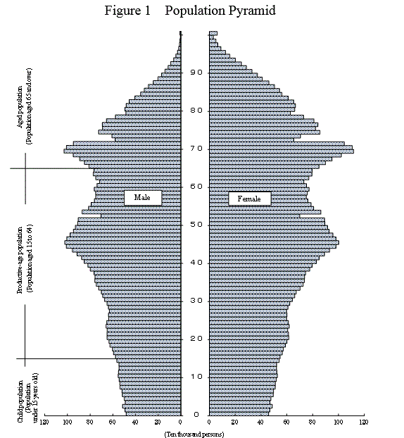 Population Pyramid