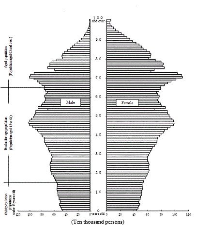 Population Pyramid