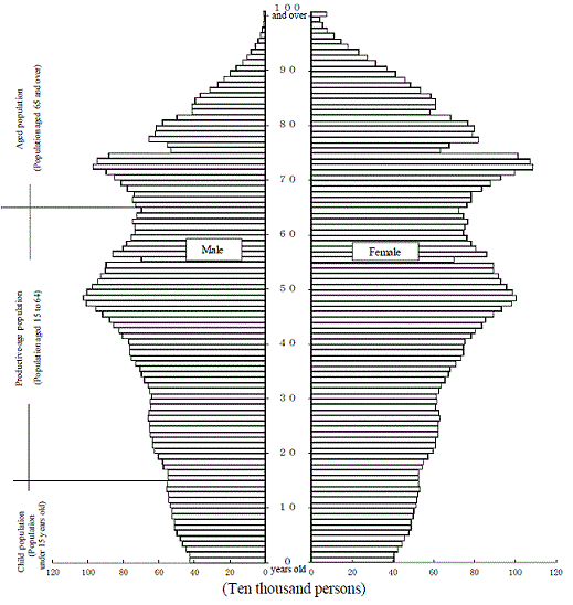 Population Pyramid