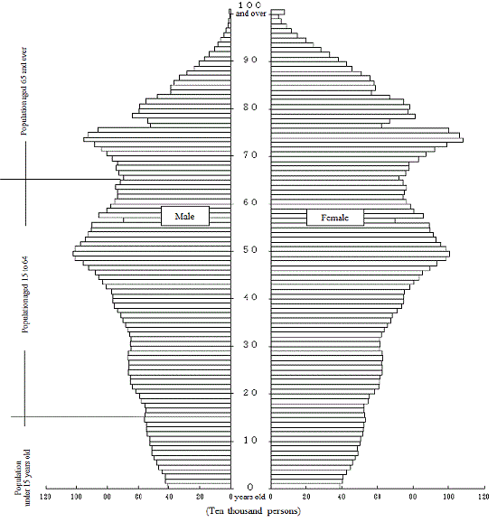 Population Pyramid