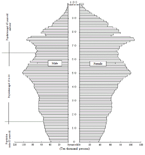 Population Pyramid