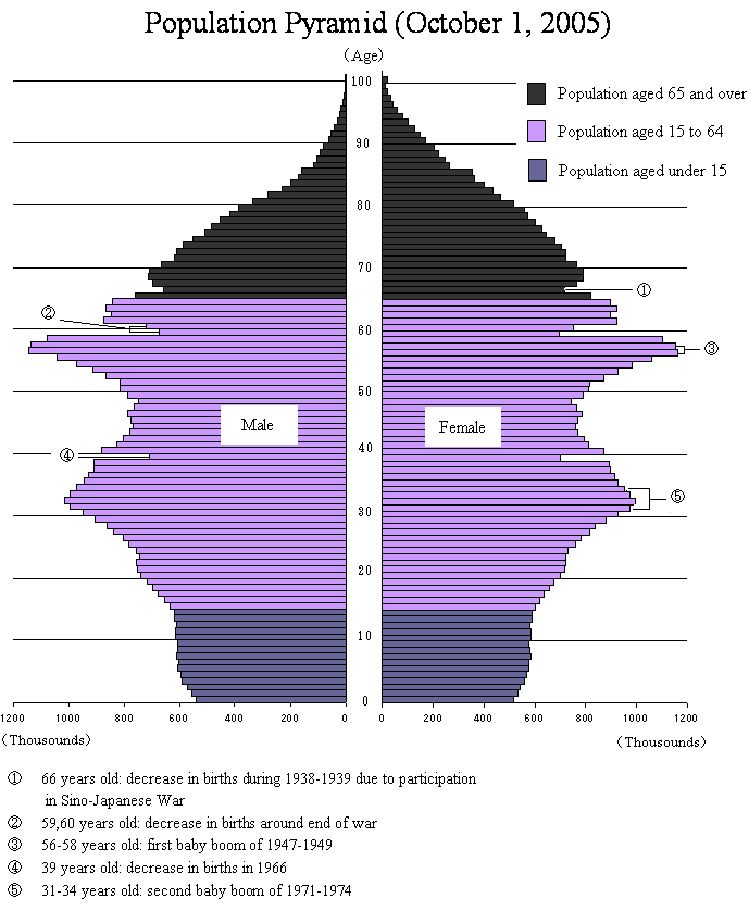 Population Pyramid (October 1, 2005)