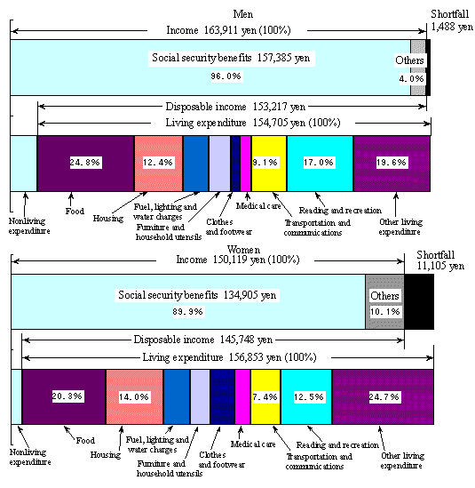 Figure 8 Breakdown of Monthly Average Household Income and Expenditure of Elderly One-person and Not-working Households