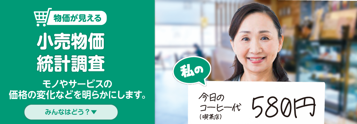物価が見える 小売物価統計調査：モノやサービスの価格の変化などを明らかにします。