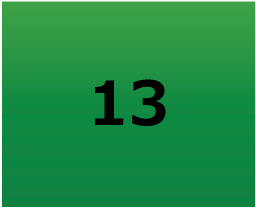 13
