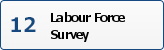 Labour Force Survey