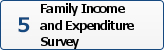 Family Income and Expenditure Survey